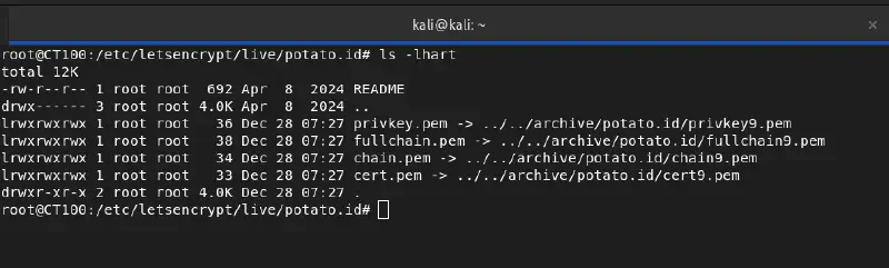 Cara Generate Wildcard SSL Let's Encrypt dengan Certbot DNS Challenge (Panduan Lengkap)