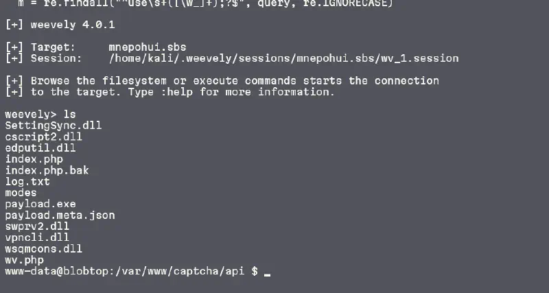 How I Get Access ClickFix Dashboard Due to Bad SecOps
