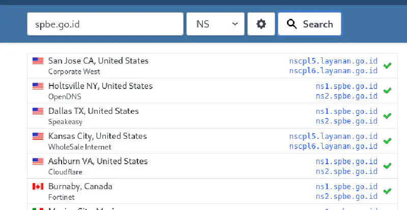 whatsmydns.net
