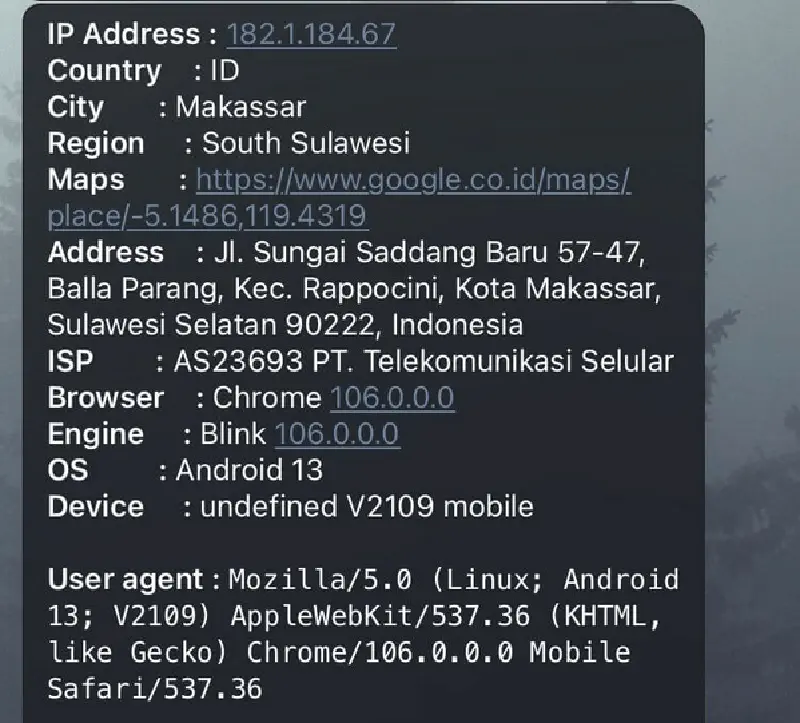 Pelaku membuka link tersebut dan berhasil mengetahui sedikit informasi dari pelaku