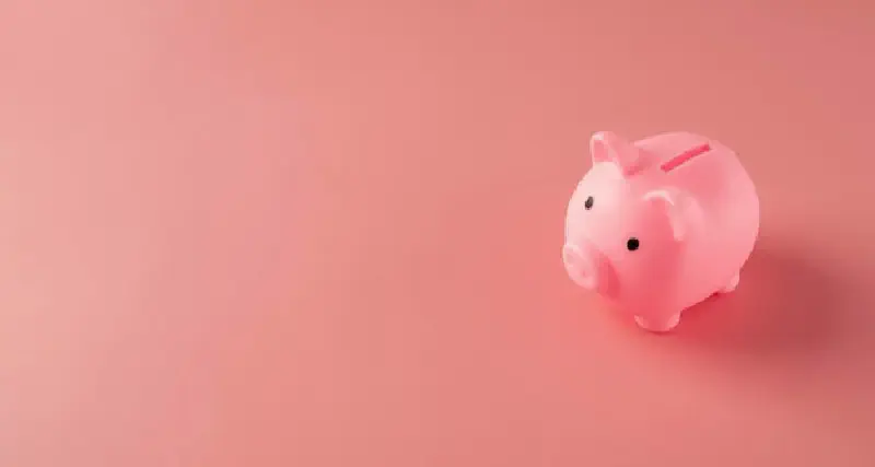 Budget Limit