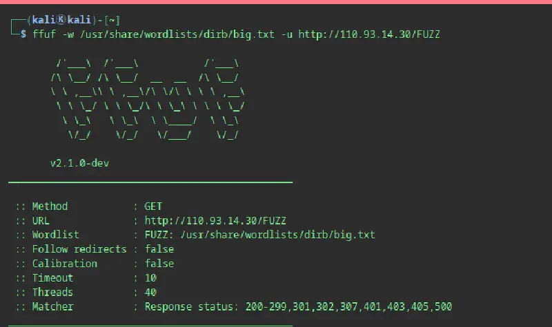 ffuf command