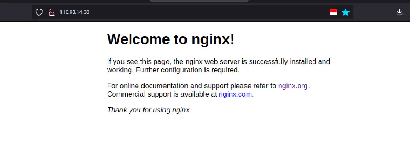 default nginx page