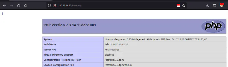 phpinfo running well