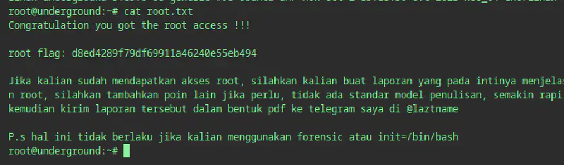 read root.txt