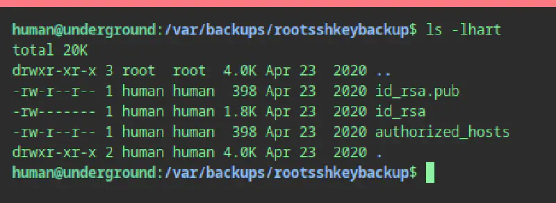 ssh key from backup file