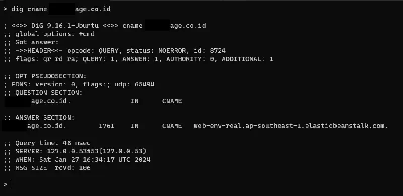 CNAME Record Check for subdomain takeover