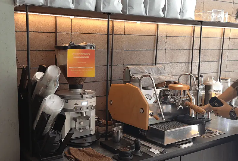 Build It vs Break It: Kenapa Vibe Coder Sering Bikin Aplikasi yang Mudah Dibobol